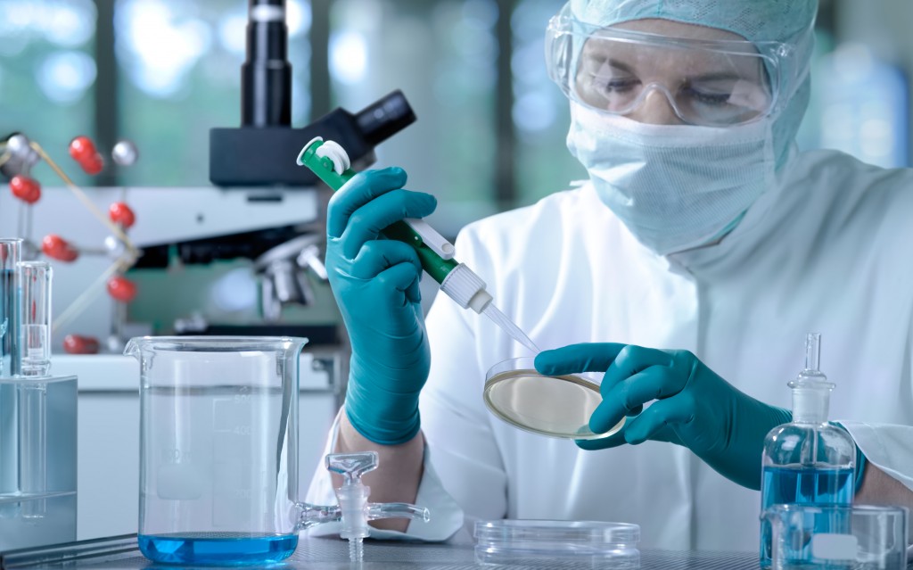Du học Mỹ nên học ngành gì? Du học Mỹ nên học ngành gì?